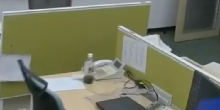 Japón levantó alerta de tsunami tras fuerte terremoto de magnitud 7,5